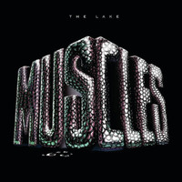 Muscles - The Lake
