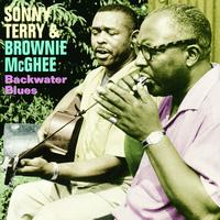 Sonny Terry, Brownie McGhee - Backwater Blues