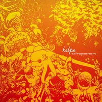 Kelpe - Extraquarium