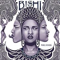 Bishi - Never Seen Your Face (Remixes)