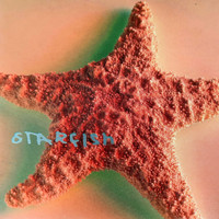 Starfish & Werner Fischer - Rain Comes Falling Down