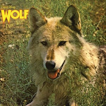 Darryl Way's Wolf - Canis - Lupus
