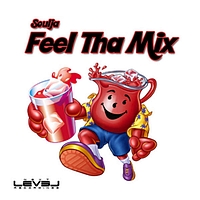 Soulja - Feel Tha Mix