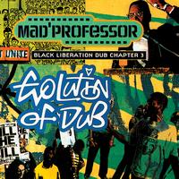 Mad Professor - Evolution of Dub (Chapter 3)