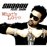 Shaggy Feat. Akon - What's Love