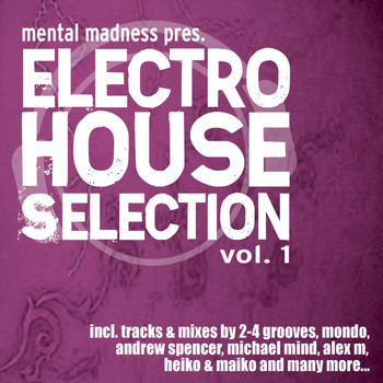 Various Artists - Mental Madness pres. Electro House Selection Vol. 1