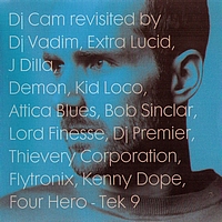 Dj Cam - Revisited By
