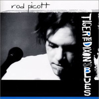 Rod Picott - Tiger Tom Dixon's Blues