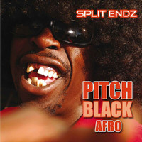 Pitch Black Afro - Split Endz