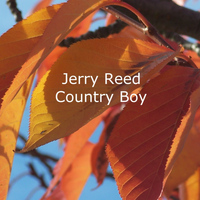 Jerry Reed - Country Boy