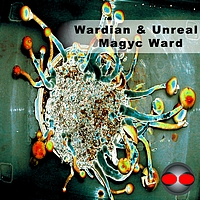 Wardian, Unreal - Magyc Ward