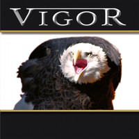 Vigor - Great Dreams