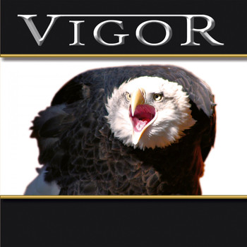 Vigor - Great Dreams