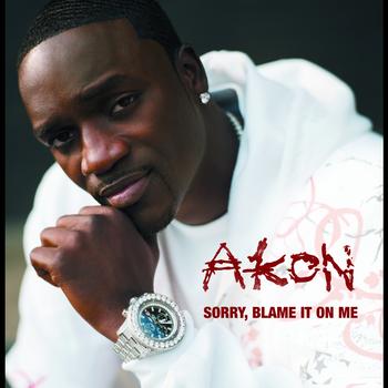 Akon - Sorry, Blame It On Me