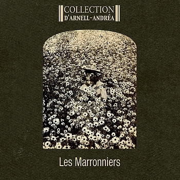 Collection D'Arnell-Andrea - Les marronniers
