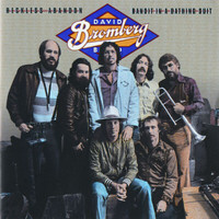 David Bromberg - Reckless Abandon, Bandit In A Bathing Suit