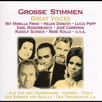 Various Artists - Grosse Stimmen