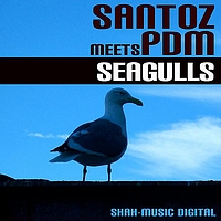 Santoz meets PDM - Seagulls