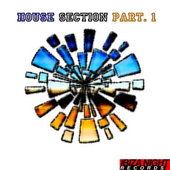 Various Artists - House Selection Part 1