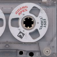 Guano Apes - The Lost (T)apes