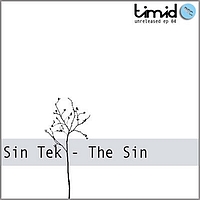 Sin Tek - The Sin (TUnrel04)