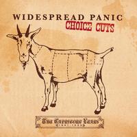 Widespread Panic - Choice Cuts: The Capricorn Years 1991-1999