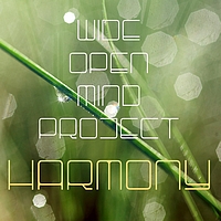 Wide Open Mind Project - Harmony