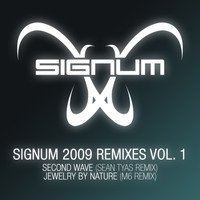 Signum - Signum 2009 Remixes Vol. 1