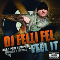 DJ Felli Fel - Feel It