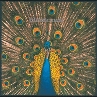 The Bluetones - Expecting To Fly
