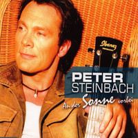 Peter Steinbach - An der Sonne vorbei