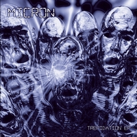 Micron - Trepidation