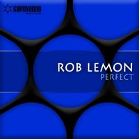 Rob Lemon - Perfect