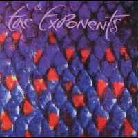 The Exponents - Grassy Knoll