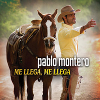 Pablo Montero - Me LLega, Me Llega