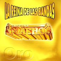 Banda Machos - La reina de las bandas Vol. I