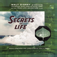 Paul J. Smith - Walt Disney Presents The Original Music from the Sound Track of his True-Life Adventure Film "Secrets of Life"