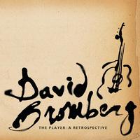 David Bromberg - The Player: A Retrospective