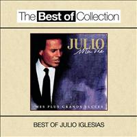 Julio Iglesias - Ma Vie: Mes Plus Grands Succès