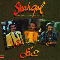 Ebi - Shahgol - Persian Music