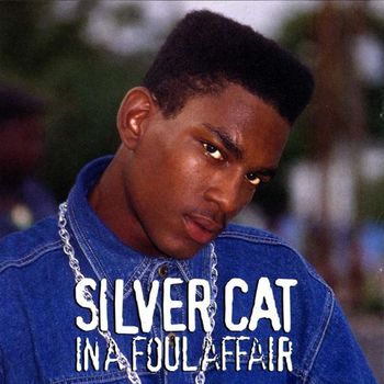 Silver Cat - In A Foul Affair