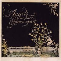 James Apollo - Angels We Have Grown Apart