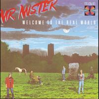 Mr. Mister - Welcome To The Real World