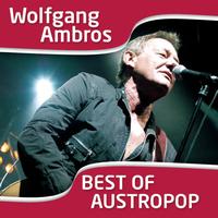Wolfgang Ambros - I Am From Austria - Wolfgang Ambros