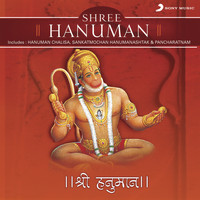 Shounak Abhisheki - Shree Hanuman