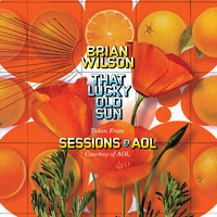 Brian Wilson - That Lucky Old Sun: AOL Sessions