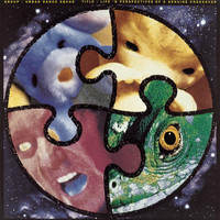 Urban Dance Squad - Life and Perspectives of a Genuine Crossover (Tokyo Live 1992)