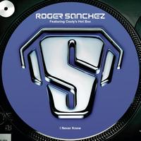Roger Sanchez feat. Cooly's Hot Box - I Never Knew