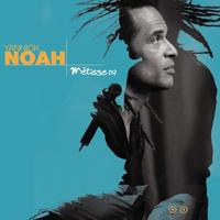 Yannick Noah - Métisse(s)
