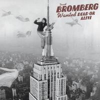 David Bromberg - Wanted Dead Or Alive